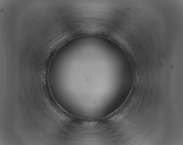 X0000089680450200707121253