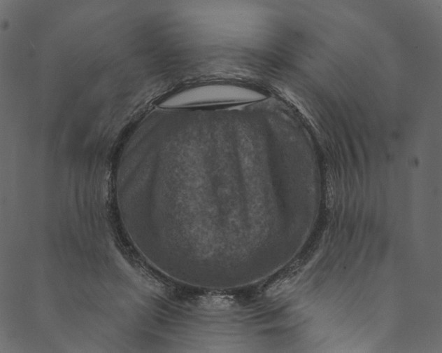 X0000089680451200707121253