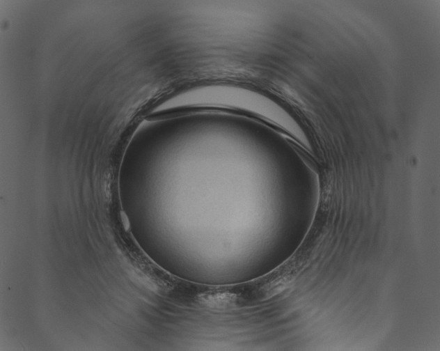 X0000089680452200707121253
