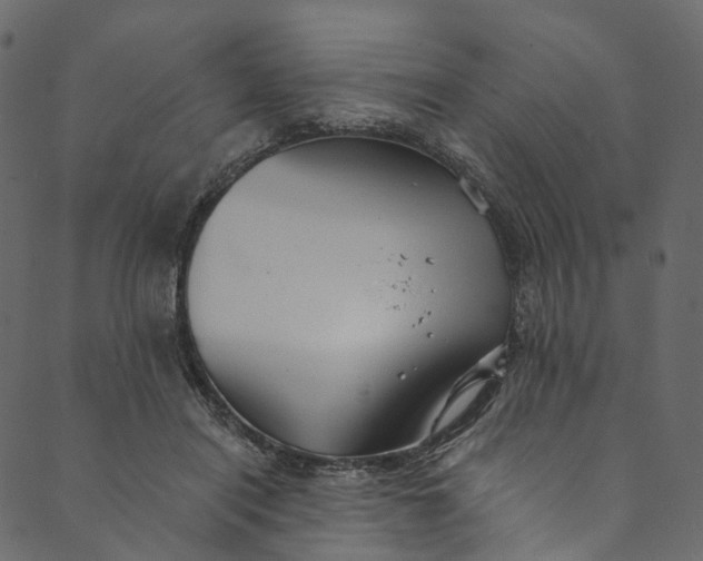 X0000089680454200707121253