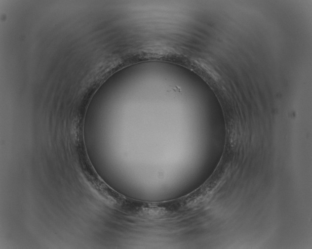 X0000089680455200707121253