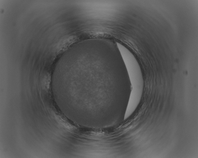 X0000089680458200707121253