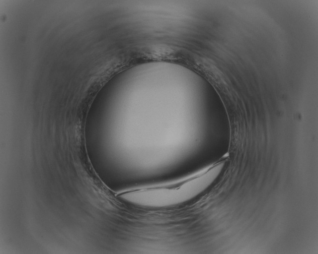 X0000089680461200707121253