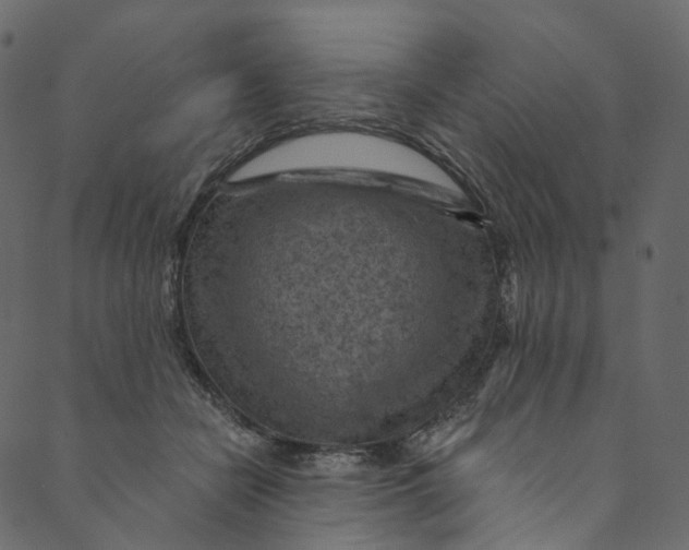 X0000089680462200707121253