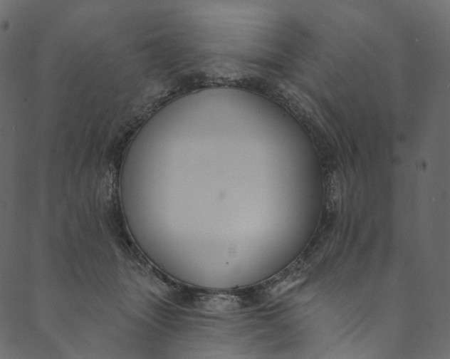 X0000089680463200707121253