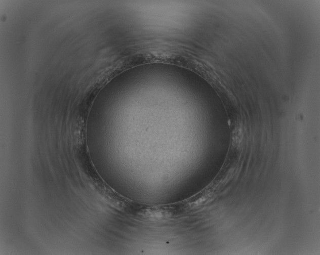 X0000089680464200707121253