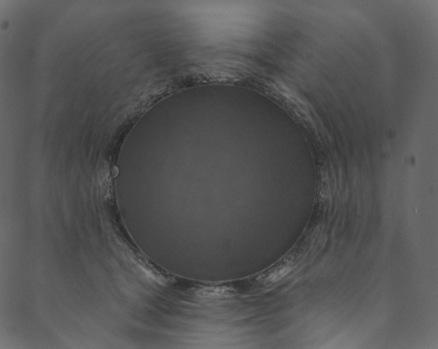 X0000089680465200707121253