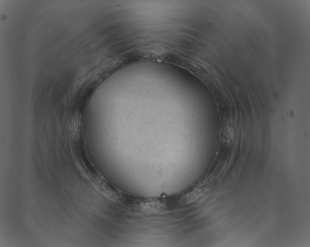 X0000089680468200707121253