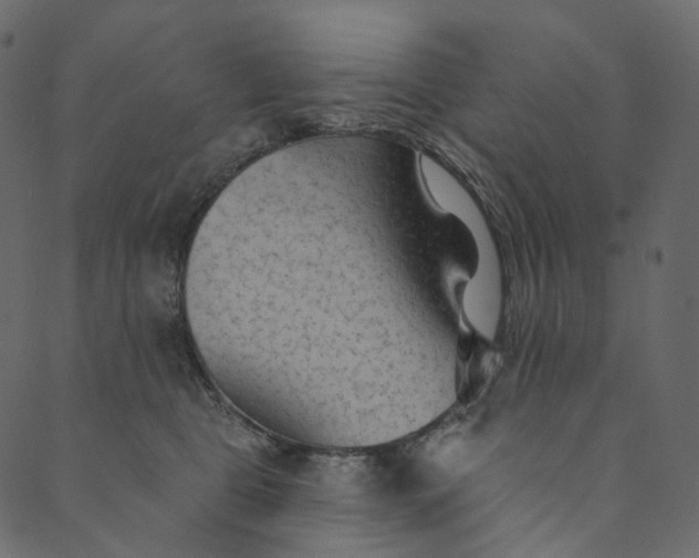 X0000089680469200707121253