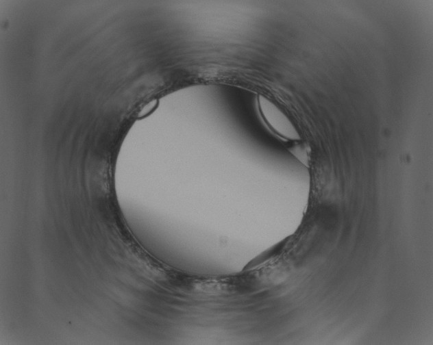 X0000089680470200707121253