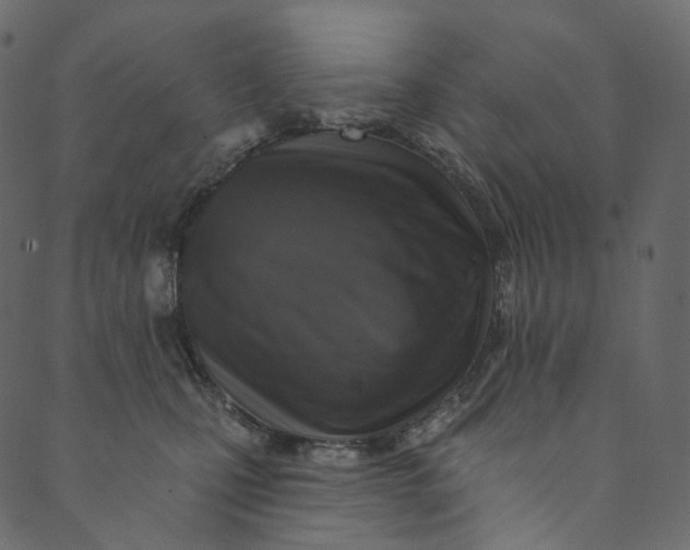 X0000089680471200707121253