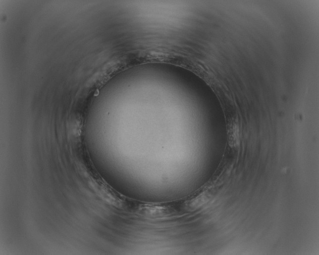 X0000089680472200707121253