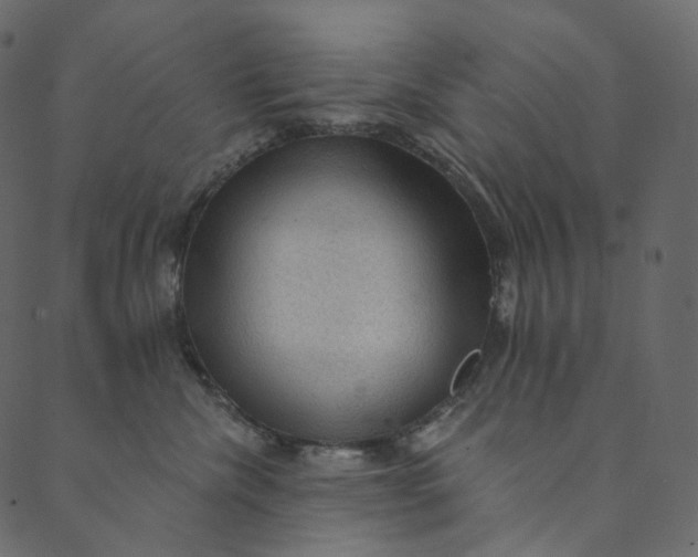 X0000089680476200707121253
