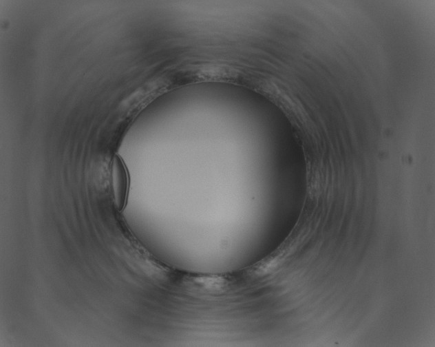 X0000089680478200707121253