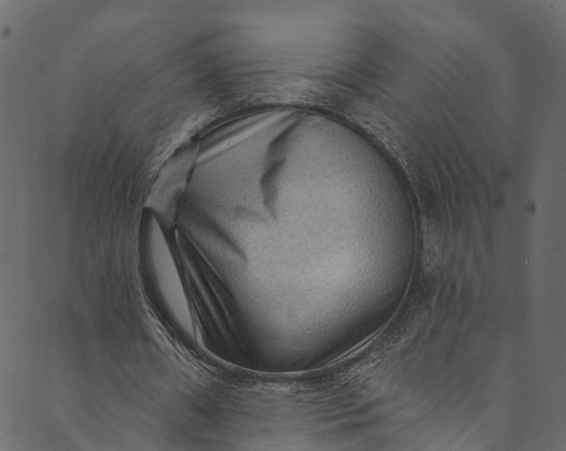X0000089680482200707121253