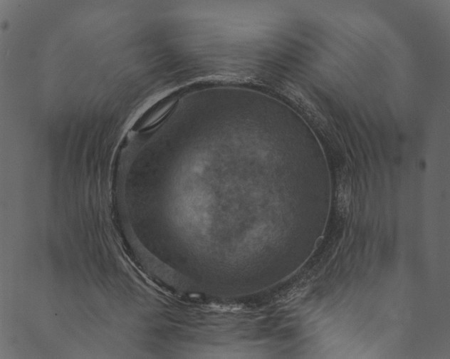 X0000089680484200707121253