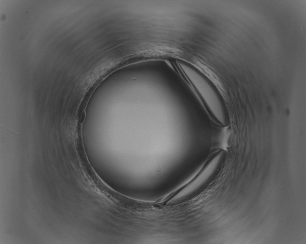 X0000089680485200707121253