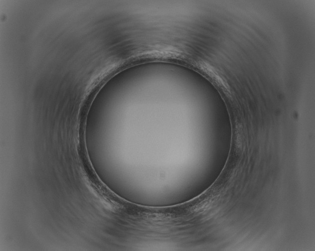 X0000089680486200707121253