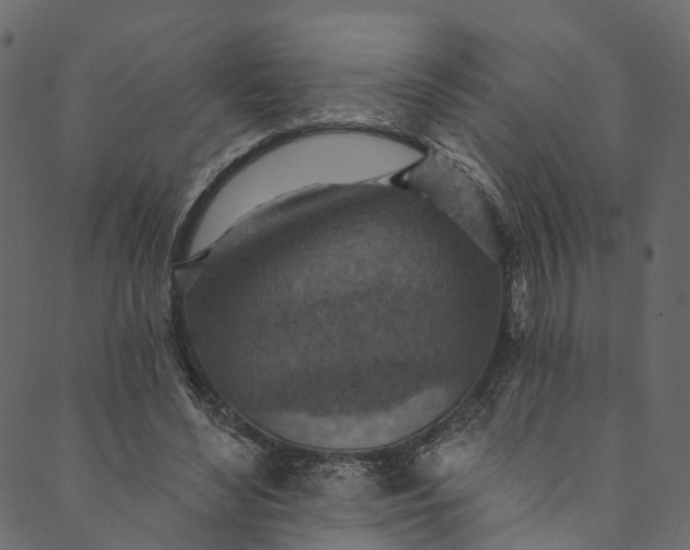 X0000089680492200707121252