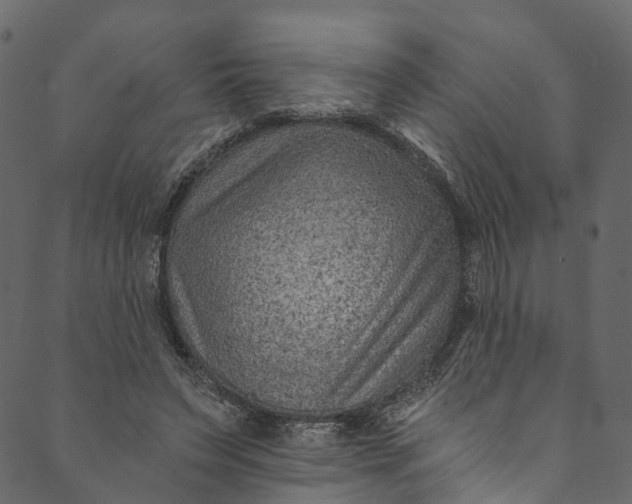 X0000089680495200707121252