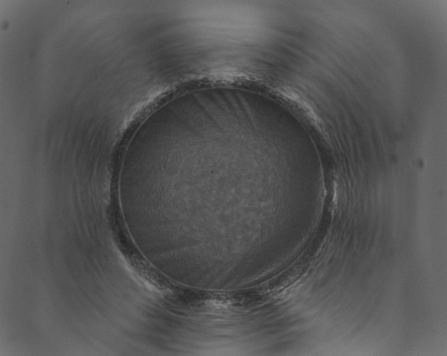 X0000089680496200707121252