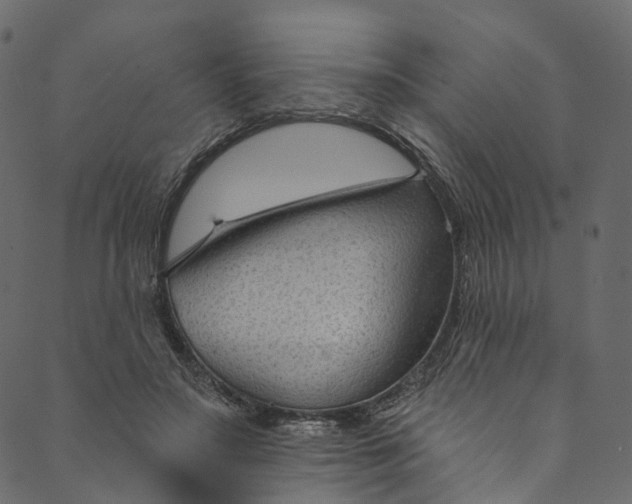 X0000089680499200707121252