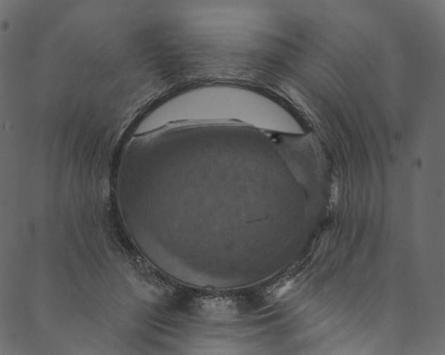 X0000089680500200707121252