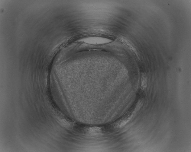 X0000089680501200707121252