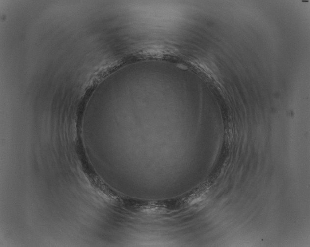 X0000089680504200707121252