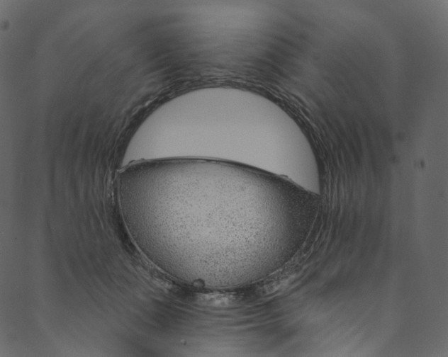 X0000089680511200707121252