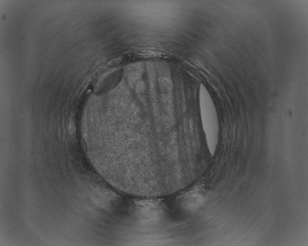 X0000089680516200707121252