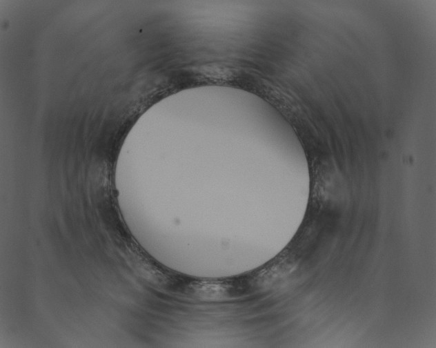 X0000089680518200707121252
