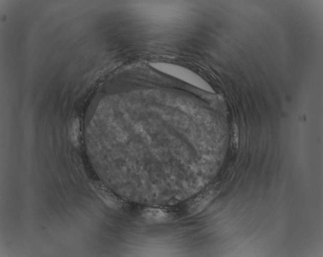 X0000089680519200707121252