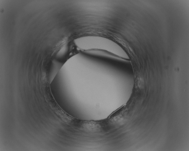 X0000089680521200707121252