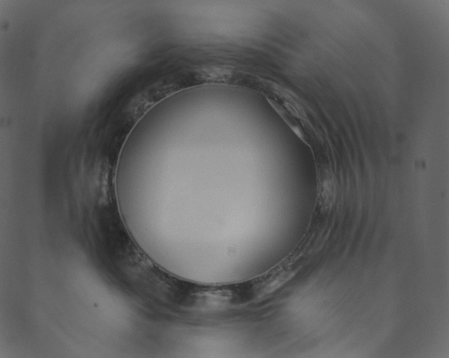 X0000089680525200707121252