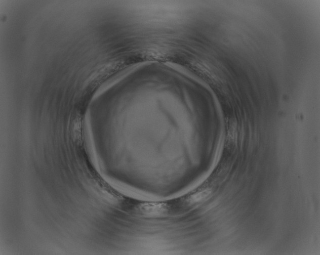 X0000089680526200707121252