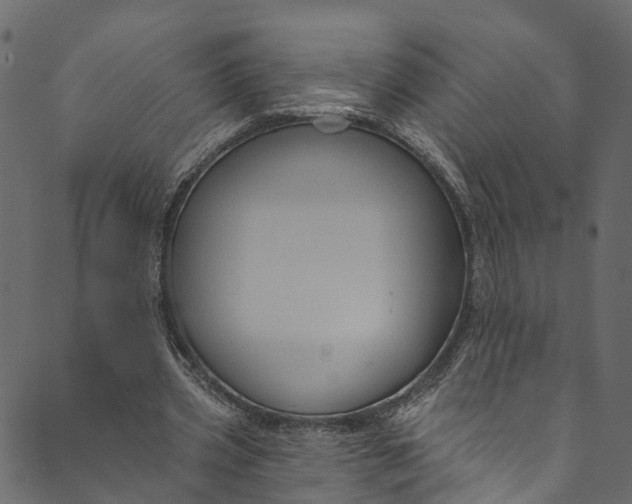 X0000089680533200707121251