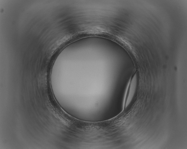 X0000089680535200707121251