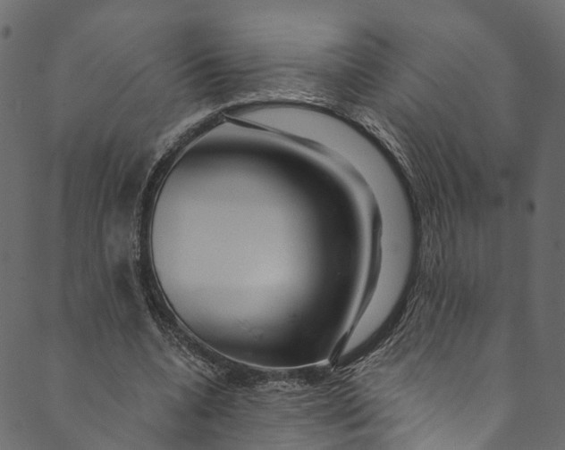 X0000089680536200707121251