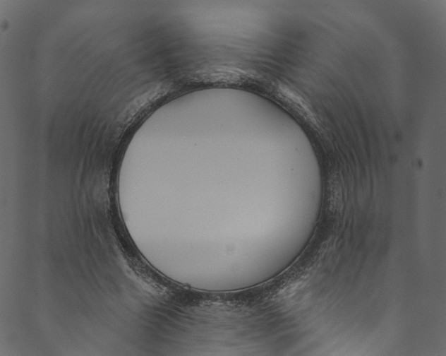 X0000089680538200707121251