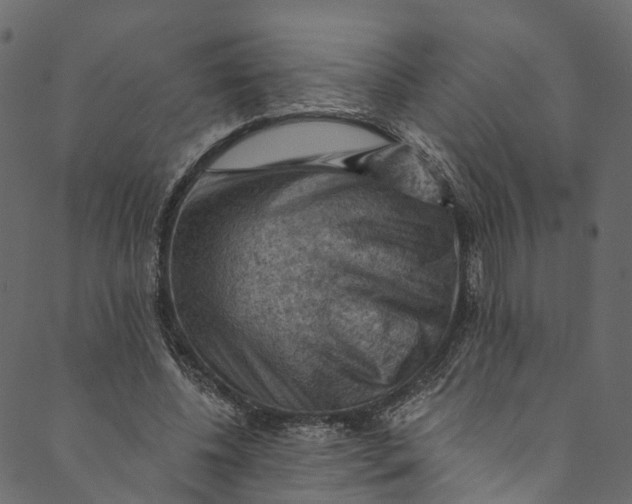 X0000089680540200707121251