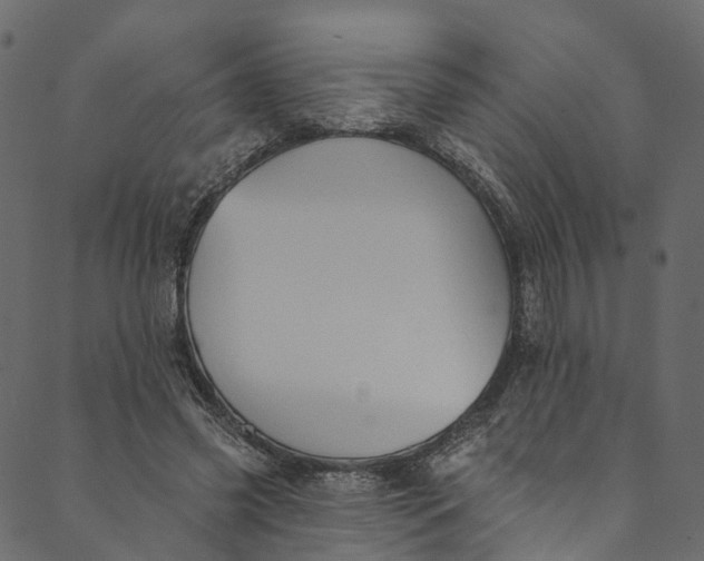 X0000089680541200707121251