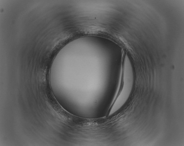 X0000089680543200707121251