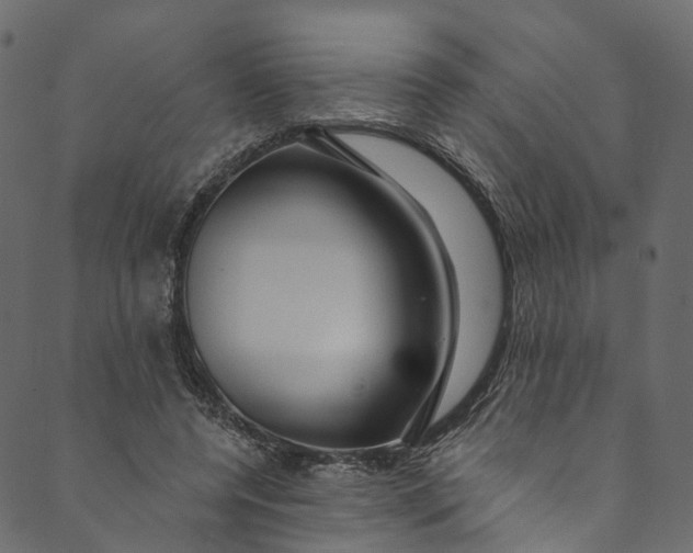 X0000089680544200707121251