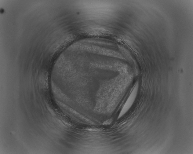 X0000089680547200707121251