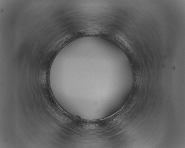 X0000089680549200707121251