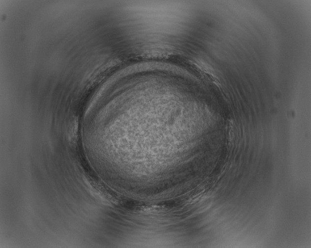 X0000089680550200707121251
