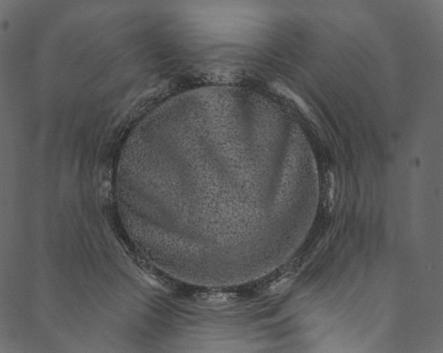 X0000089680553200707121251