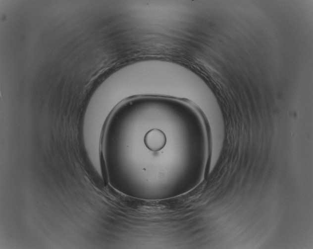 X0000089680556200707121251