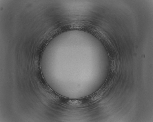 X0000089680557200707121252